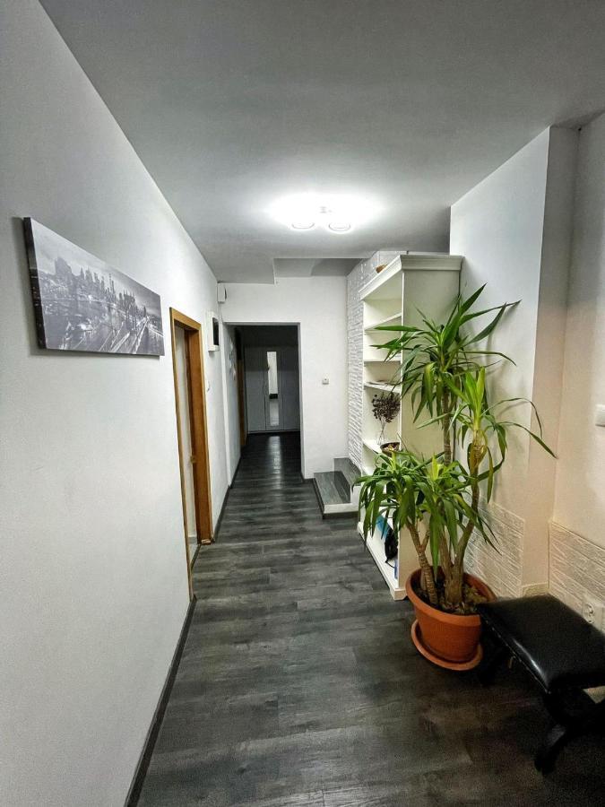 3 Rooms Cinema Garden Parking House Бухарест Екстер'єр фото